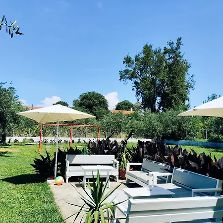 Olive Garden & Acharavi (Corfu)